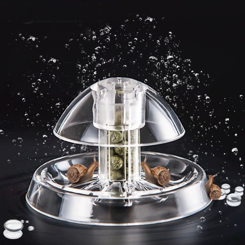 Aquarium Fish Maintenance - 1PCS Fish TANK Aquarium CLEANER Snail