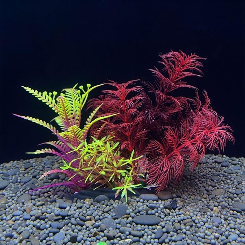 Aquarium Fish For Sale - ต้นไม้ประดับตู้ปลา ของตกแต่งตู้ปลา จำลองพืชในน้ำ ของประดับตกแต่งตู้ปลา ขายดีที่สุด