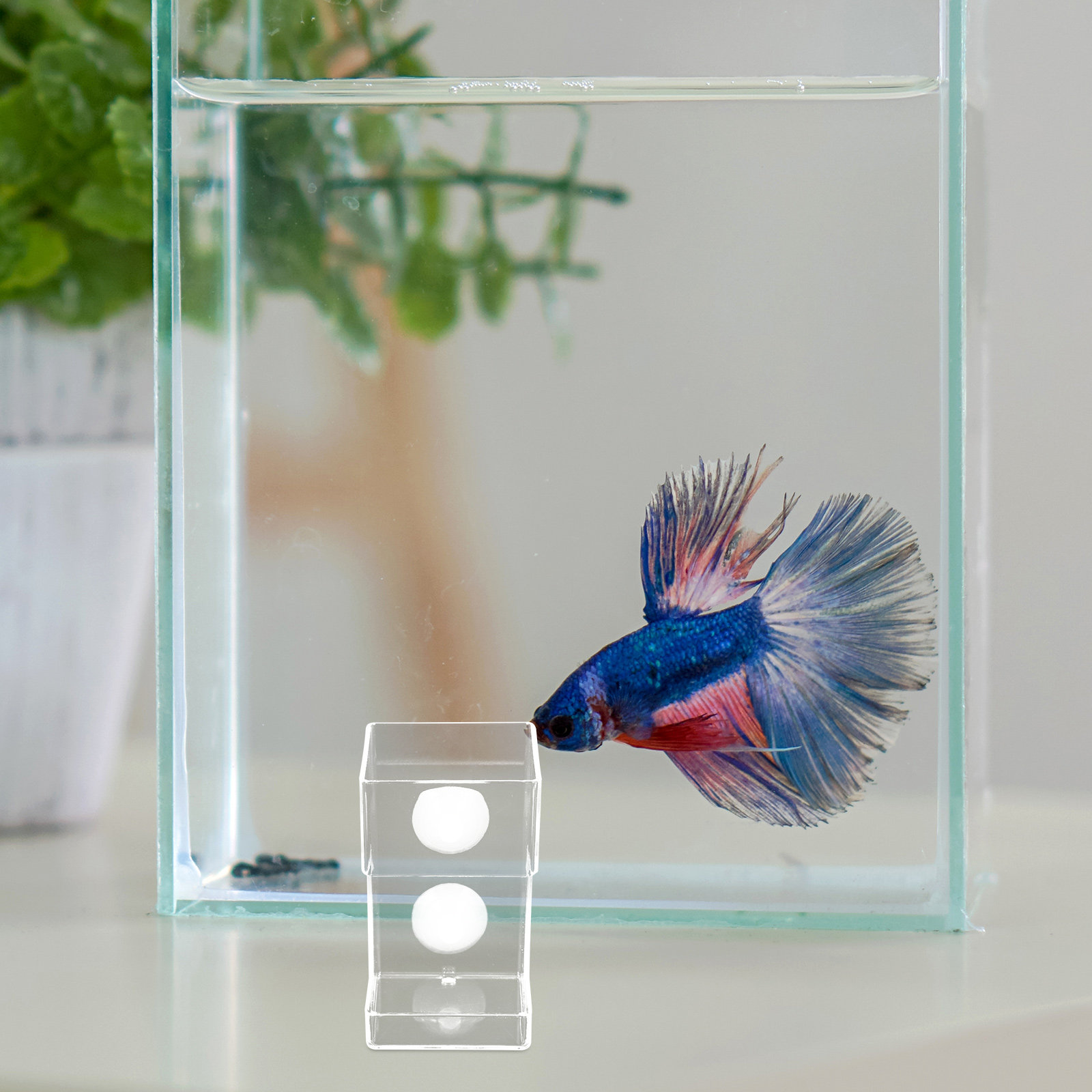 Aquarium Fish Feeder Automatic - ถาดป้อนอาหารปลาอะคริลิกแบบลอยน้ำสำหรับตู้ปลา ป้องกันการลอย จุอาหารได้มาก ควบคุมการป้อนอาหารได้อย่างแม่นยำสำหรับปลาและกุ้ง