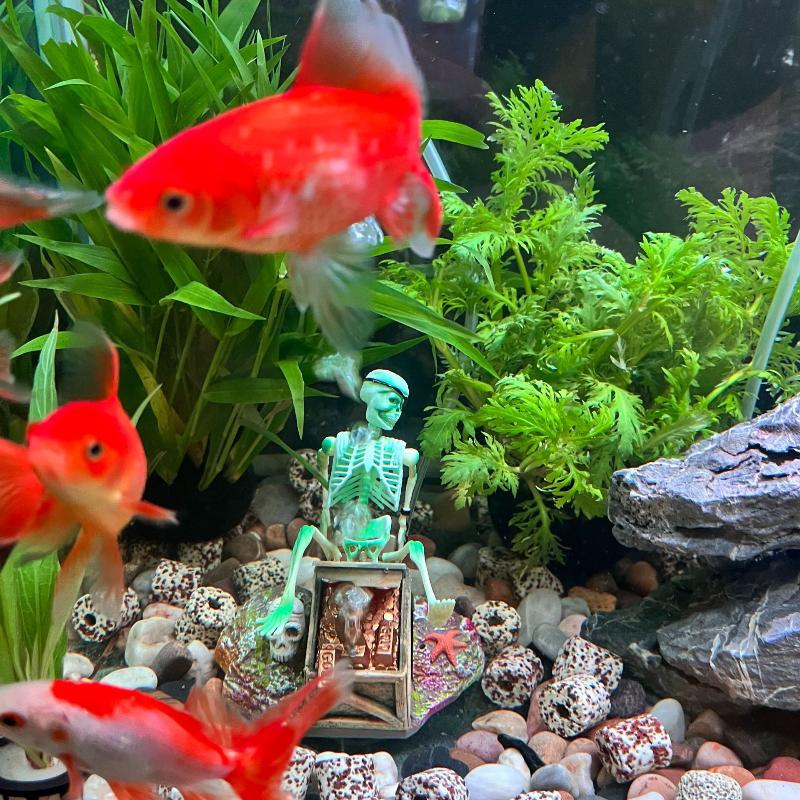 Aquarium Fish Diseases - ปั๊มลมตกแต่งตู้ปลาแบบแอโรบิก รูปทรงกระดูกโครงสร้างสร้างสรรค์ ของตกแต่งตู้ปลา อุปกรณ์เสริม