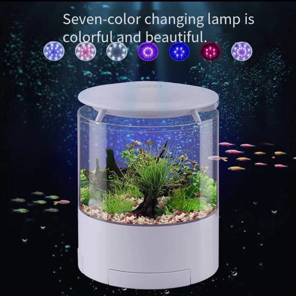 Aquarium Fish For Sale - รอบไฟสีสันสดใสเดสก์ท็อปถังปลา MINI Fighting Fish TANK ทองขนาดเล็กถังปลากรองแสงออกซิเจน