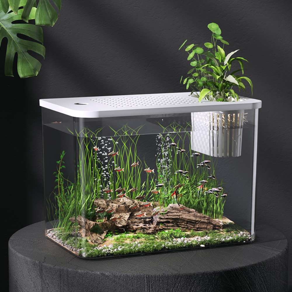 Aquarium Fish For Sale - ถังเลี้ยงปลา + ABS ถังน้ำนิเวศวิทยาใสพร้อมฝาปิดสำหรับเลี้ยงตู้ปลาถังไฮโดรโปนิกส์สำหรับบ้าน