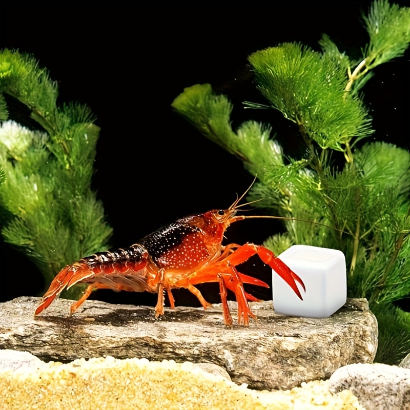 Aquarium Fish Lego - บล็อกแคลเซียมสำหรับตู้ปลา 6 ชิ้น แร่ธาตุสำหรับตู้ปลา ลูกบาศก์สำหรับสัตว์เลื้อยคลาน หินสำหรับเต่า