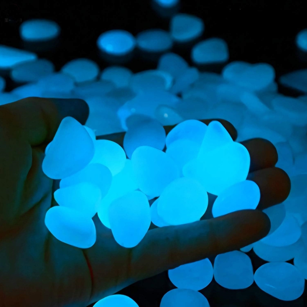 สวนกลางแจ้งในร่มหินตู้ปลาพิพิธ - Aquarium Fish That Glow In The Dark บทวิจารณ์และราคา
