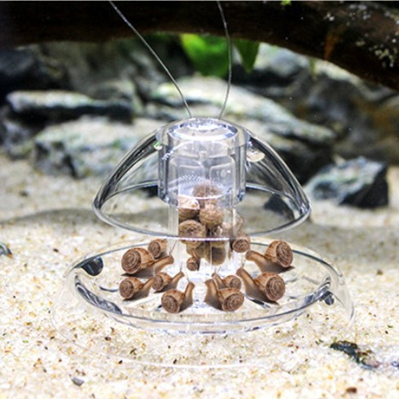 1PCS Fish TANK Aquarium CLEANE - Aquarium Fish Maintenance บทวิจารณ์และราคา