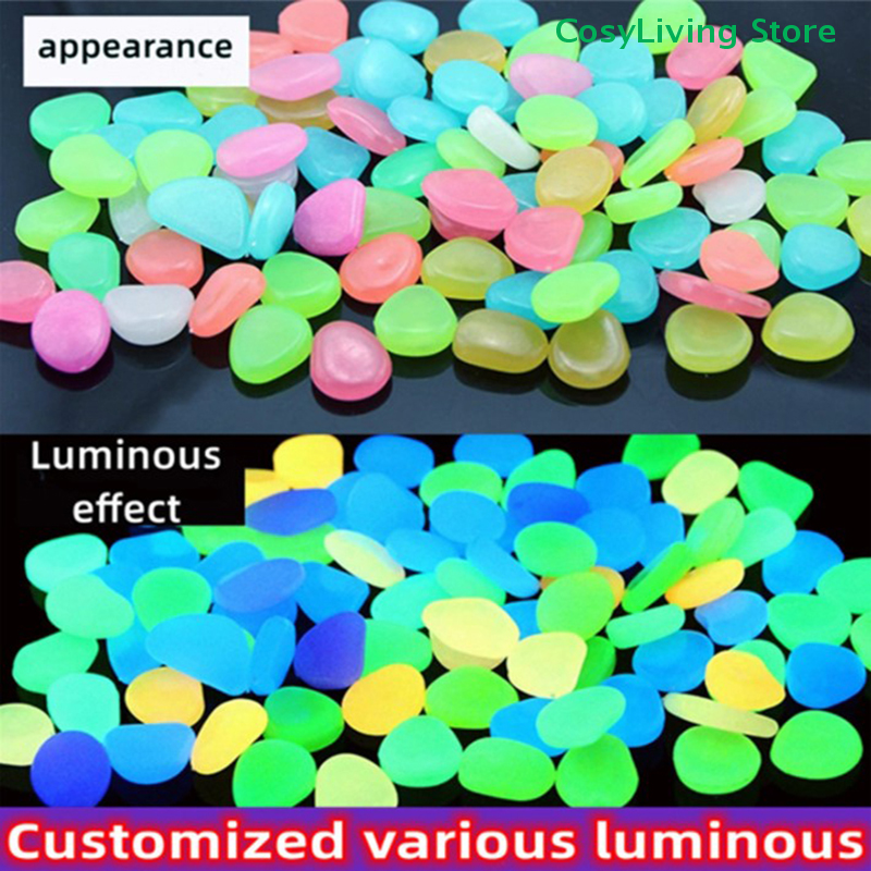หินเรืองแสงกลางแจ้ง 100 ชิ้น/ถ - Aquarium Fish That Glow In The Dark บทวิจารณ์และราคา