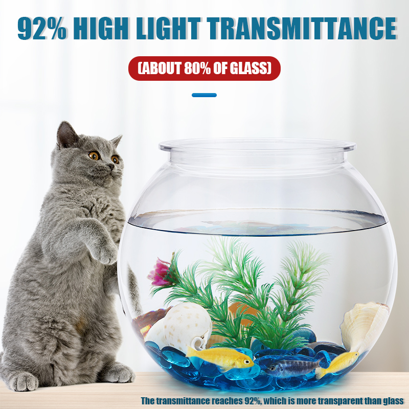 ชามปลาพลาสติก L M S ขนาดเดสก์ท - Aquarium Fish For Sale บทวิจารณ์และราคา