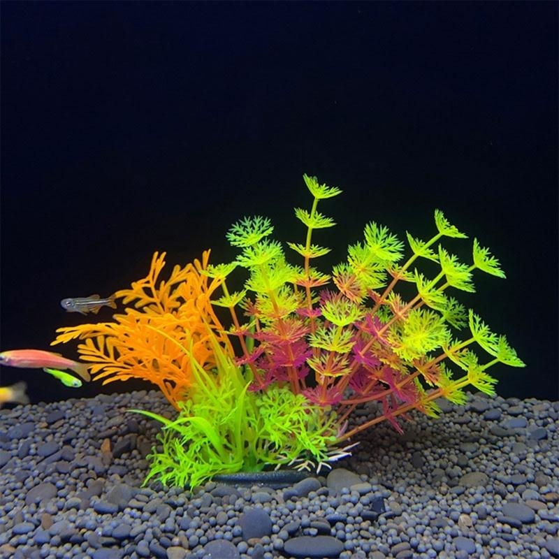 ต้นไม้ประดับตู้ปลา ของตกแต่งตู - Aquarium Fish For Sale บทวิจารณ์และราคา