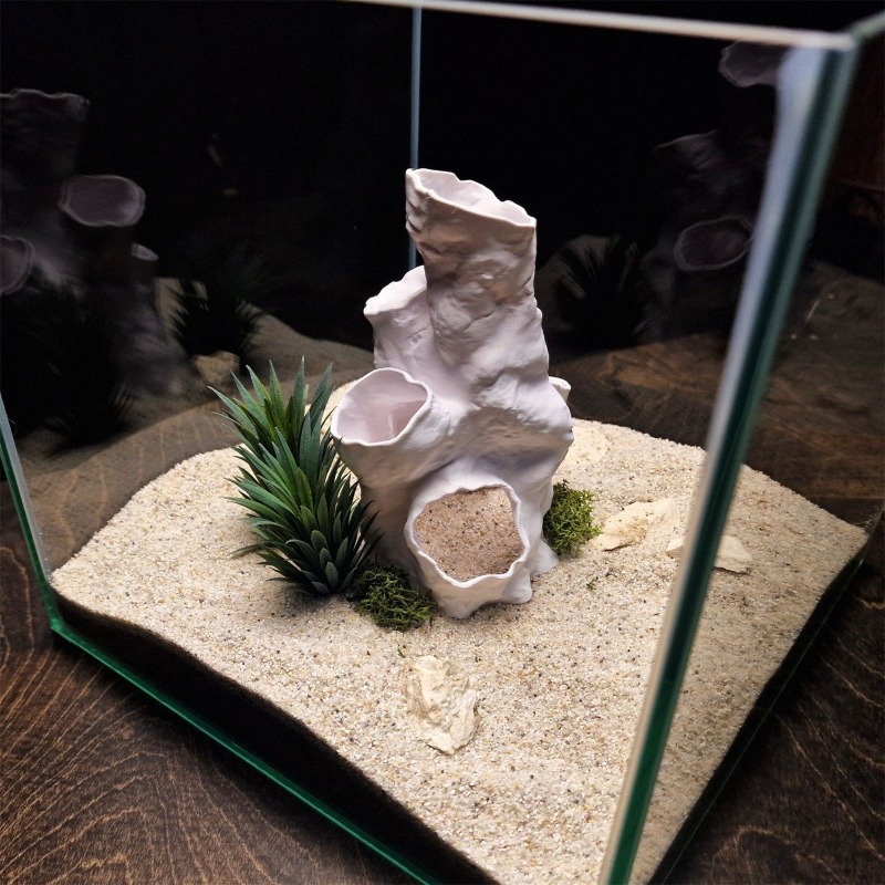 ของตกแต่งตู้ปลา/ตู้เลี้ยงสัตว์ - Aquarium Fish For Sale บทวิจารณ์และราคา