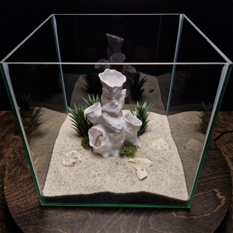 ของตกแต่งตู้ปลา/ตู้เลี้ยงสัตว์ - Aquarium Fish For Sale บทวิจารณ์และราคา