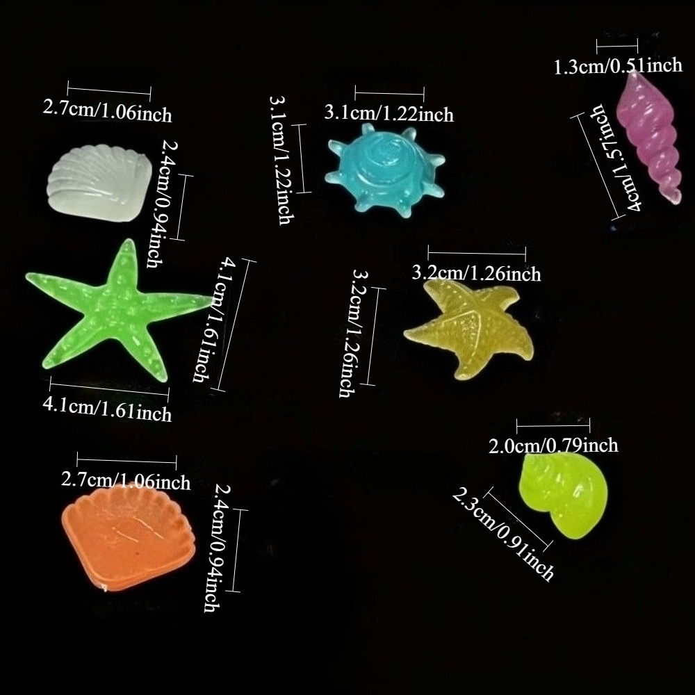 หินเรืองแสงในทะเล เปลือกหอยเรื - Aquarium Fish Types บทวิจารณ์และราคา