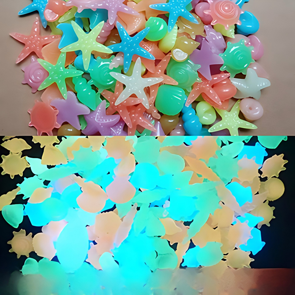 หินเรืองแสงในทะเล เปลือกหอยเรื - Aquarium Fish Types บทวิจารณ์และราคา