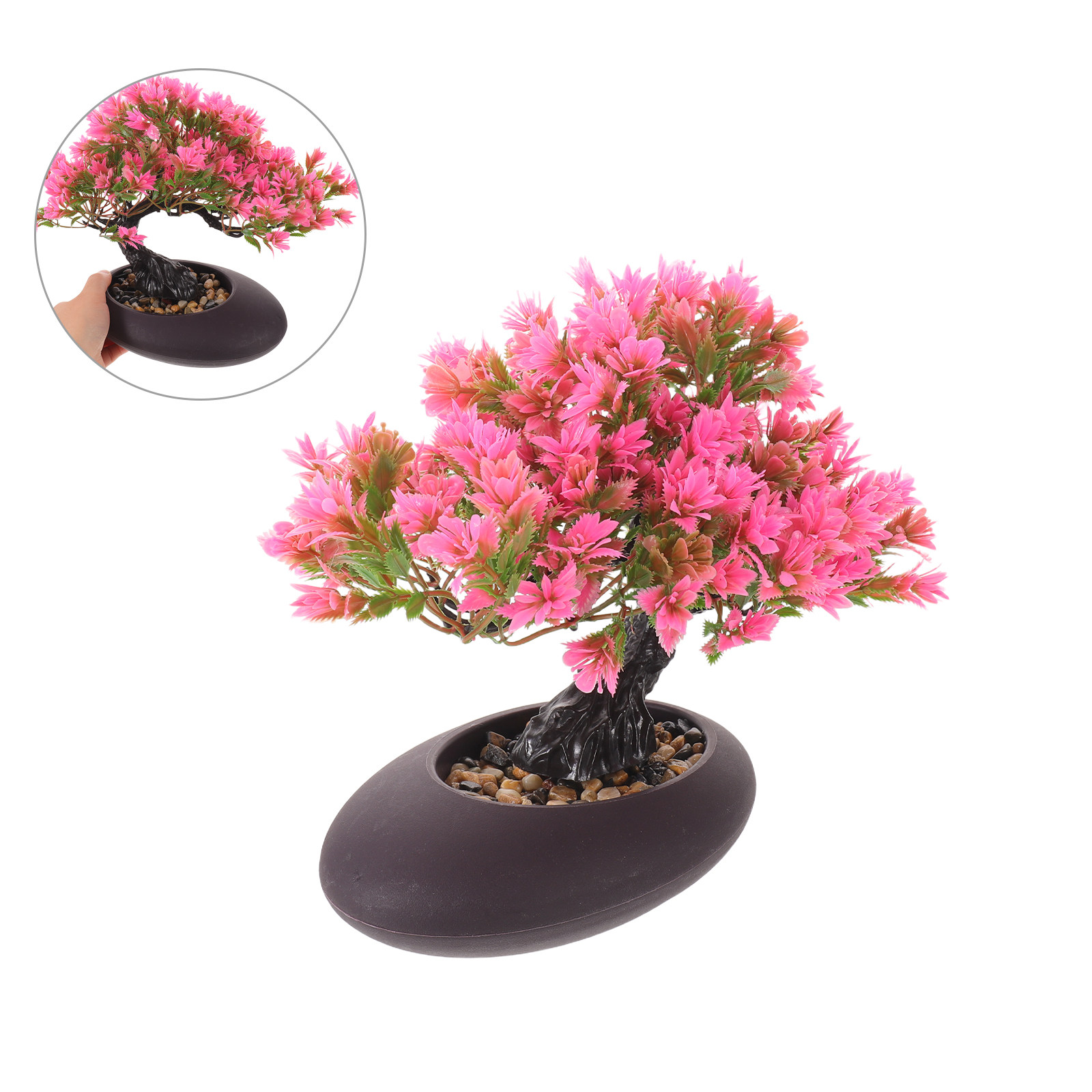 ของตกแต่งจานอาหารญี่ปุ่น ต้นสน - Aquarium Fish Japanese บทวิจารณ์และราคา