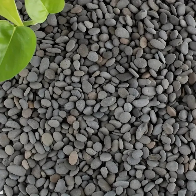 20 ชิ้นธรรมชาติ River Rocks Sm - Aquarium Fish Types บทวิจารณ์และราคา