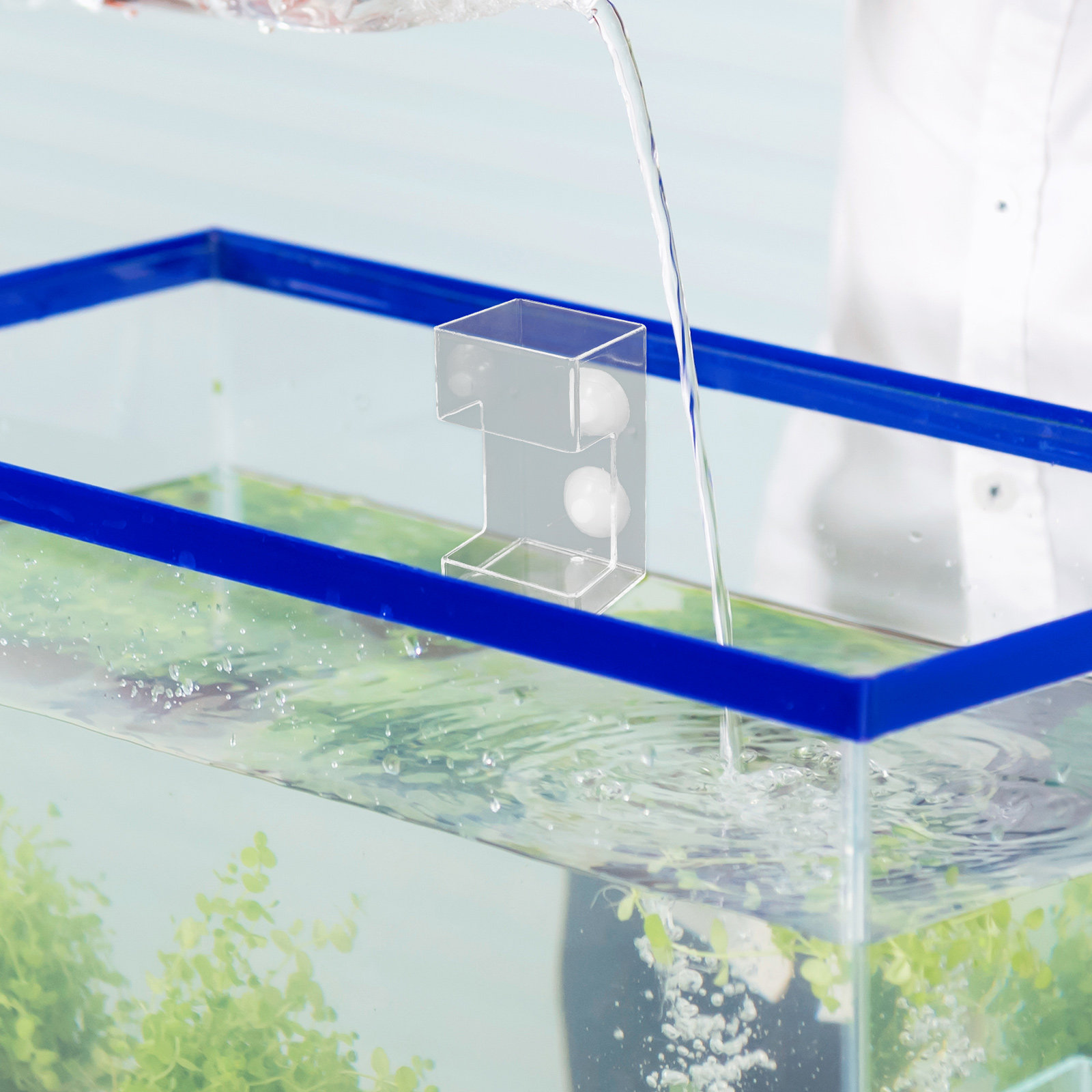 ถาดป้อนอาหารปลาอะคริลิกแบบลอยน - Aquarium Fish Feeder Automatic บทวิจารณ์และราคา