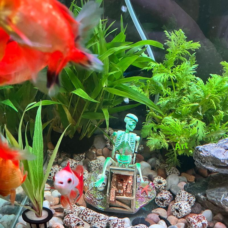 ปั๊มลมตกแต่งตู้ปลาแบบแอโรบิก ร - Aquarium Fish Diseases บทวิจารณ์และราคา