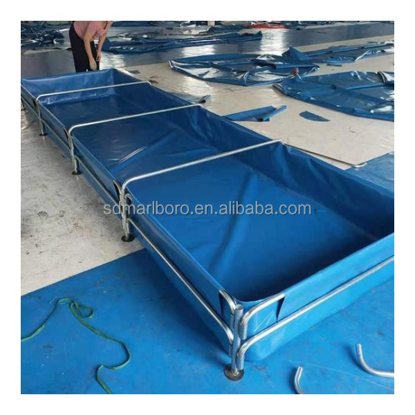 AIROW ตู้ปลาทรงสี่เหลี่ยมใสสำห - Aquarium Fish For Sale บทวิจารณ์และราคา