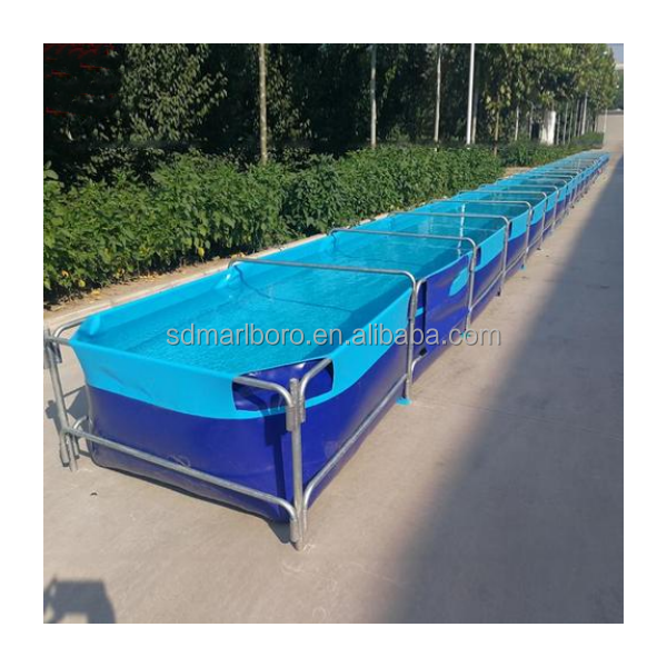 AIROW ตู้ปลาทรงสี่เหลี่ยมใสสำห - Aquarium Fish For Sale บทวิจารณ์และราคา