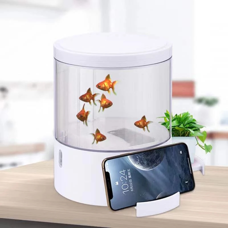 รอบไฟสีสันสดใสเดสก์ท็อปถังปลา  - Aquarium Fish For Sale บทวิจารณ์และราคา