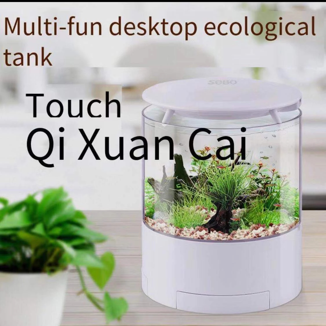 รอบไฟสีสันสดใสเดสก์ท็อปถังปลา  - Aquarium Fish For Sale บทวิจารณ์และราคา