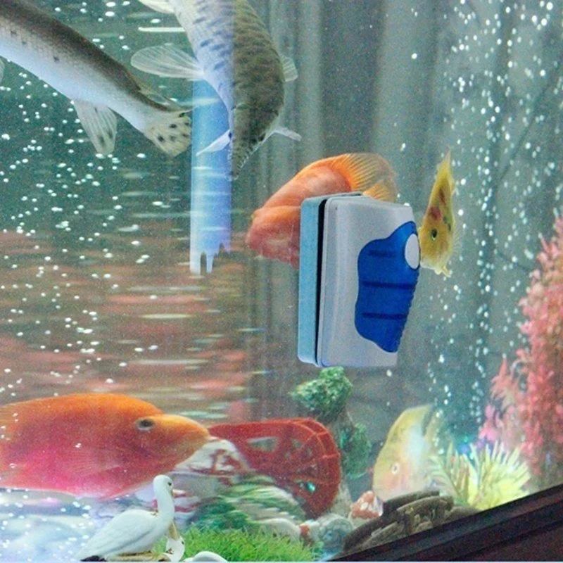 ตู้ปลาเครื่องขูดกระจกทําความสะ - Aquarium Fish Maintenance บทวิจารณ์และราคา
