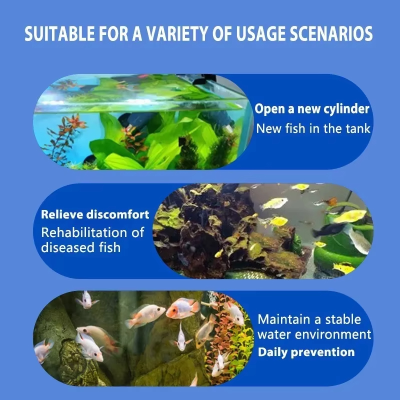 การรักษาโรคปลา SIKEZHAN และแบค - Aquarium Fish Diseases บทวิจารณ์และราคา