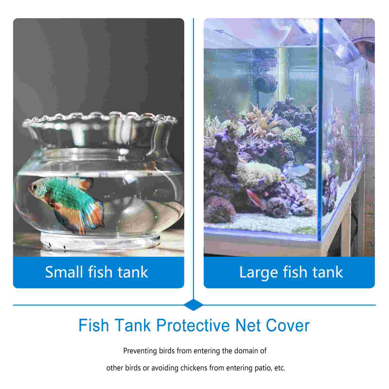 สุทธิถัง Aquarium ตาข่ายตาข่าย - Tank Divider Mesh บทวิจารณ์และราคา