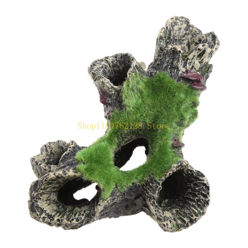 ปลาสำหรับตกแต่งถัง Aquarium Hi - Aquarium Fish For Sale บทวิจารณ์และราคา