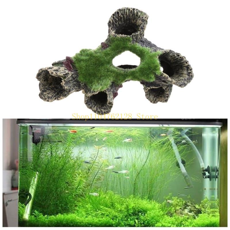 ปลาสำหรับตกแต่งถัง Aquarium Hi - Aquarium Fish For Sale บทวิจารณ์และราคา