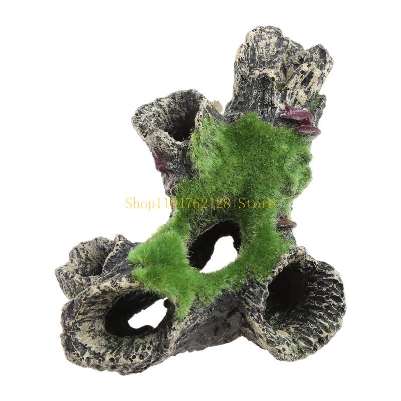 ปลาสำหรับตกแต่งถัง Aquarium Hi - Aquarium Fish For Sale บทวิจารณ์และราคา