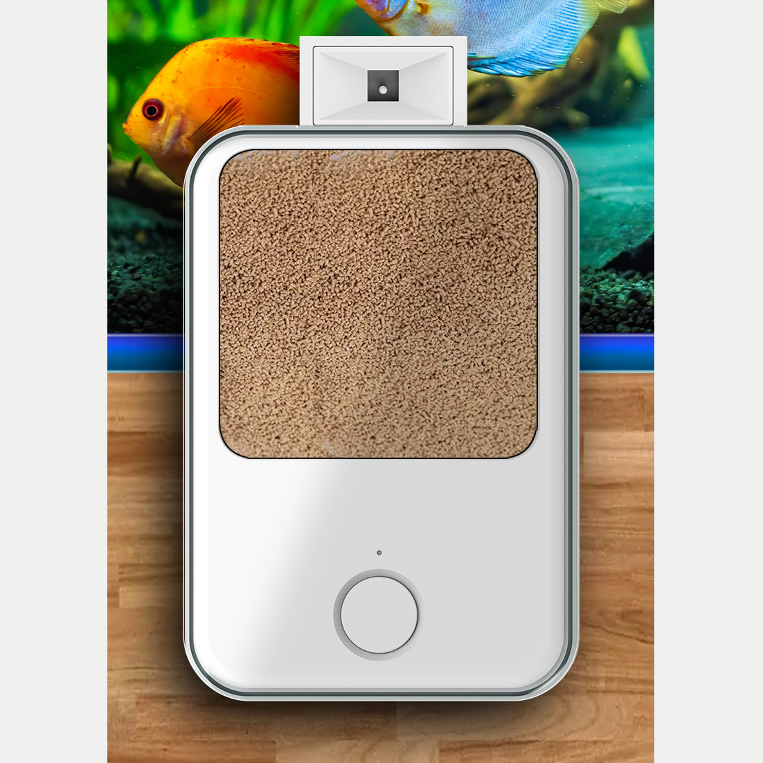 1PC WIFI/ปุ่มรุ่นเครื่องป้อนปล - Aquarium Fish Feeder Automatic บทวิจารณ์และราคา