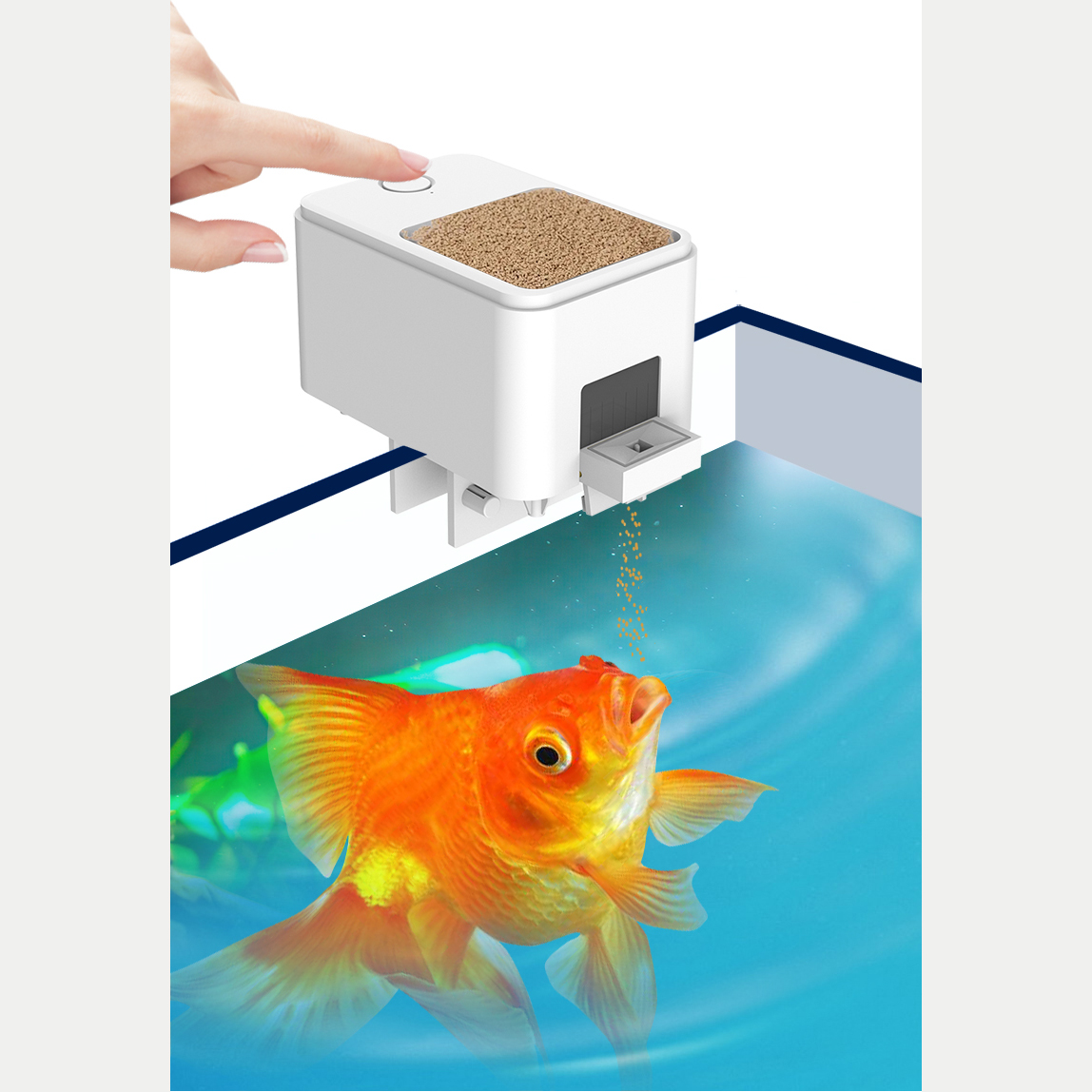 1PC WIFI/ปุ่มรุ่นเครื่องป้อนปล - Aquarium Fish Feeder Automatic บทวิจารณ์และราคา