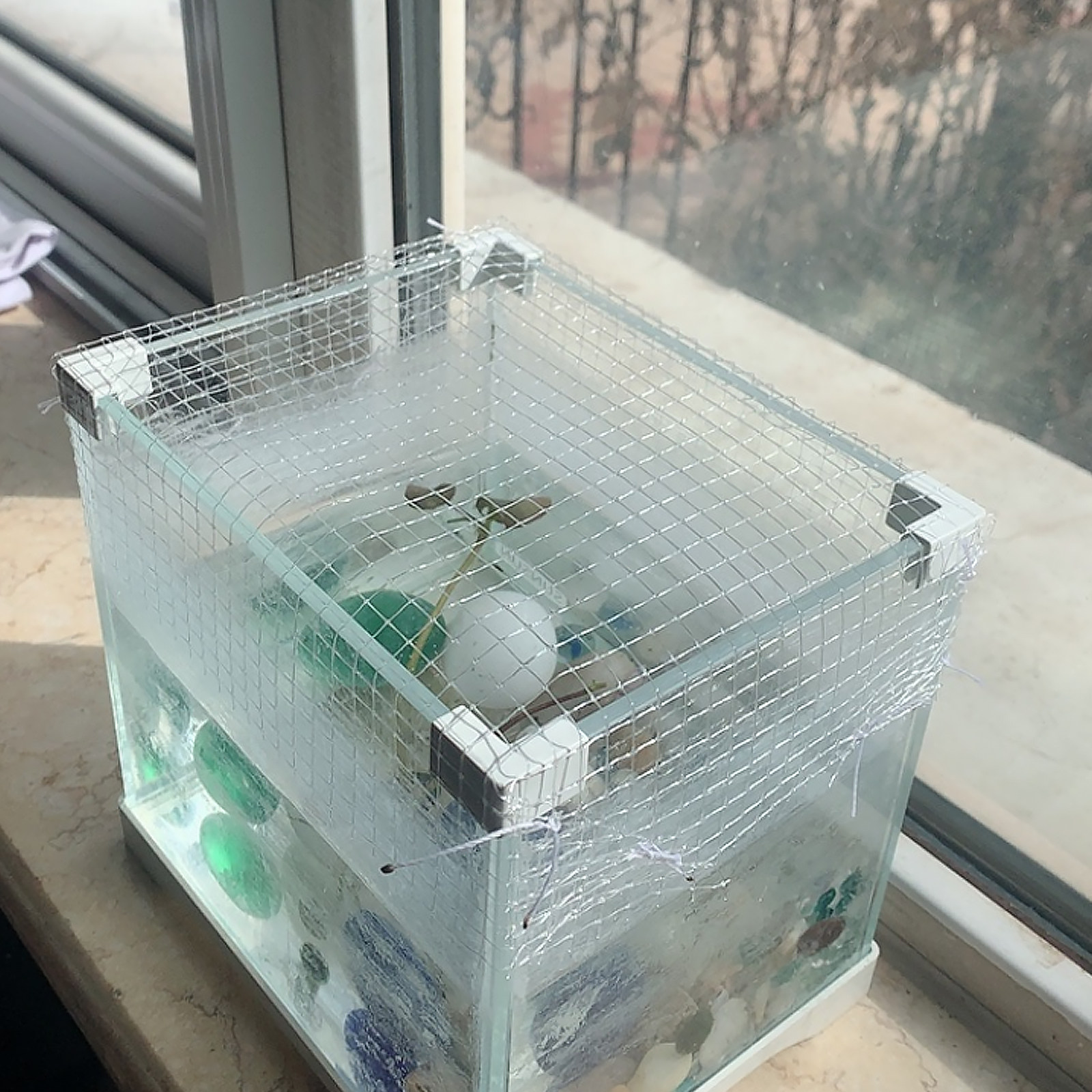 ตาข่ายป้องกันปลากระโดดสำหรับตู - Tank Divider Mesh บทวิจารณ์และราคา