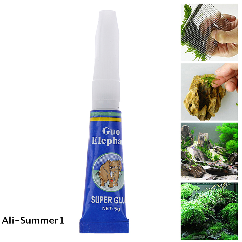 【E】1* ลูกบอลมอสตกแต่งตู้ปลา กา - Aquarium Fish Ball บทวิจารณ์และราคา