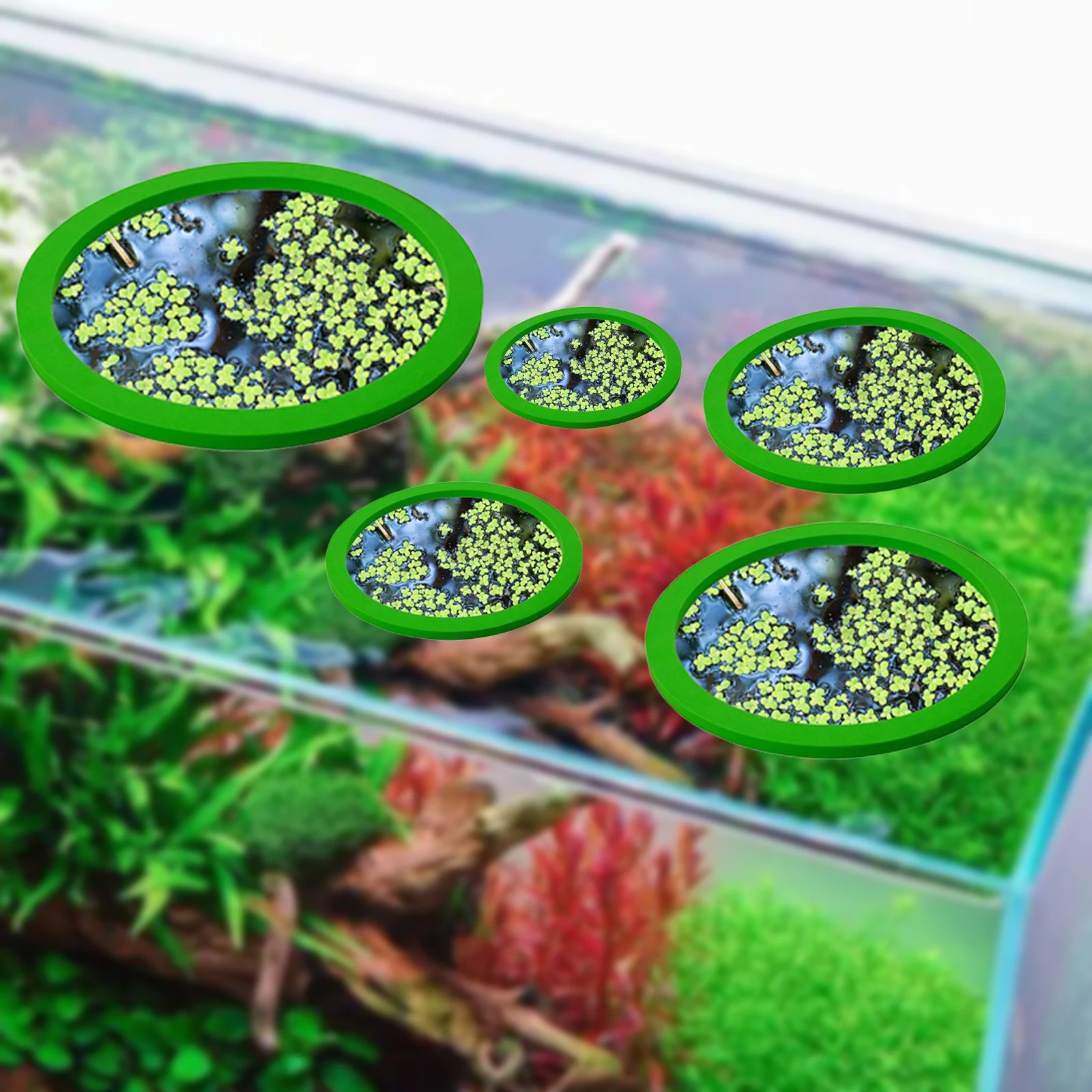 5 ชิ้น EVA ปลา Feeding แหวน Aq - Aquarium Fish Types บทวิจารณ์และราคา