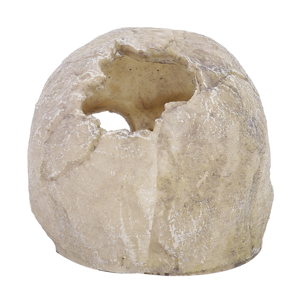 เรซิ่นจําลองหัวกระดูก Skull รู - Aquarium Fish Types บทวิจารณ์และราคา