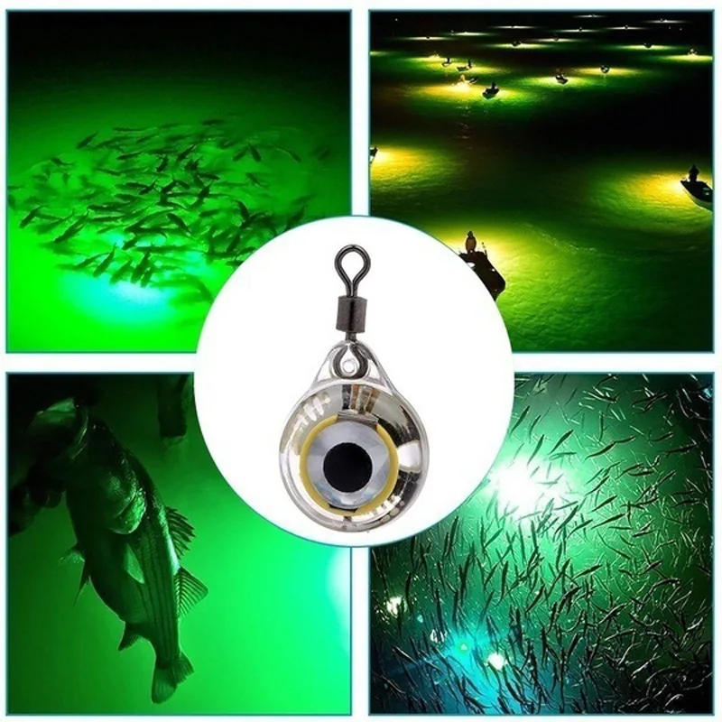 ไฟ LED ตกปลาตอนกลางคืน แสงใต้น - Aquarium Fish Diseases บทวิจารณ์และราคา