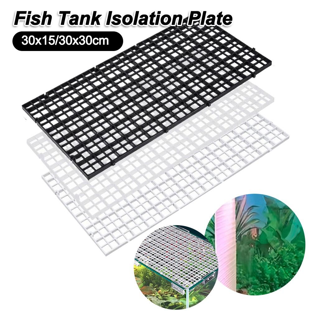 แผ่นกรองกั้นตู้ปลาขนาด 30x15/3 - Aquarium Fish Images บทวิจารณ์และราคา
