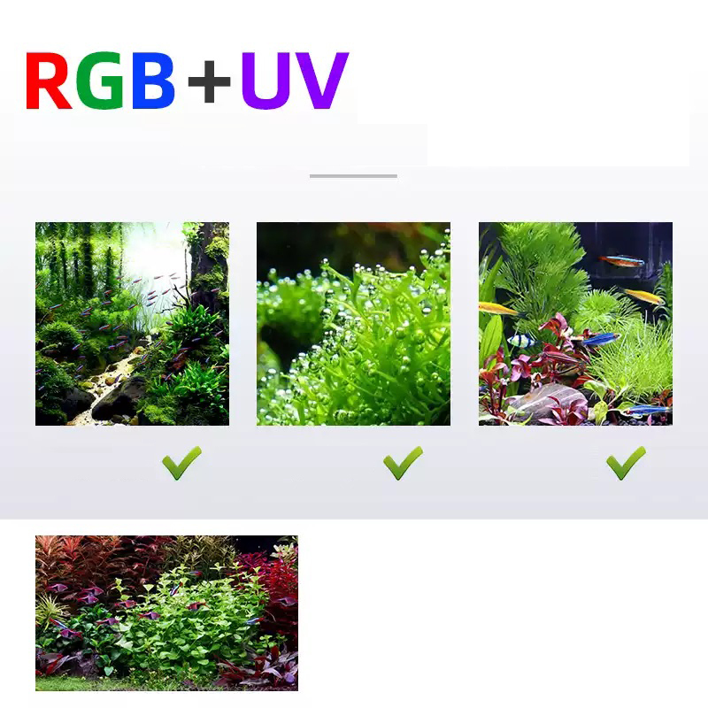 ไฟ LED 60 ซม. 80 ซม. 90 ซม. RG - Aquarium Fish For Sale บทวิจารณ์และราคา