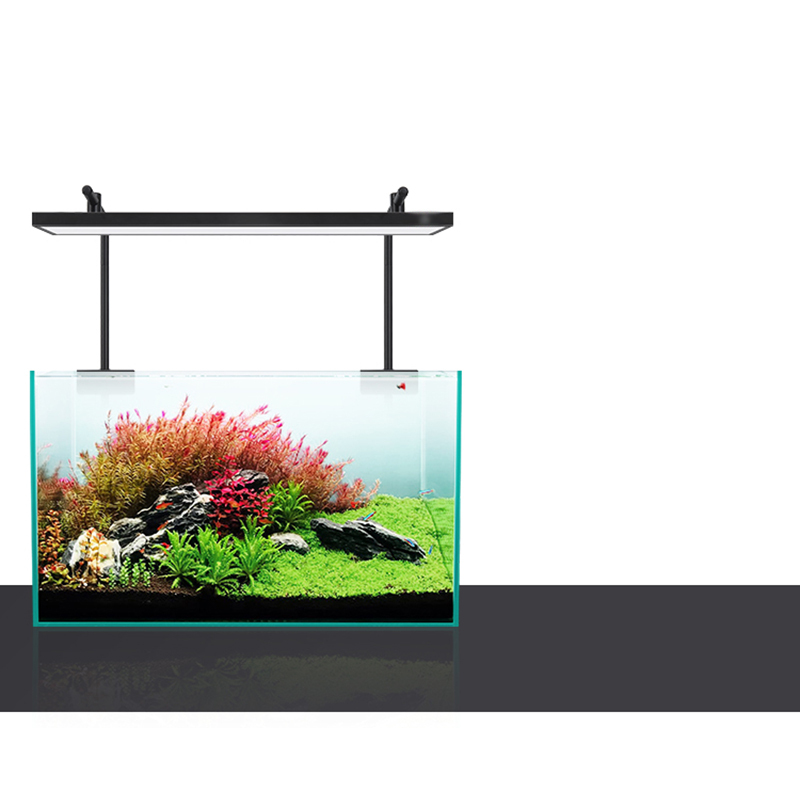 ไฟ LED 60 ซม. 80 ซม. 90 ซม. RG - Aquarium Fish For Sale บทวิจารณ์และราคา