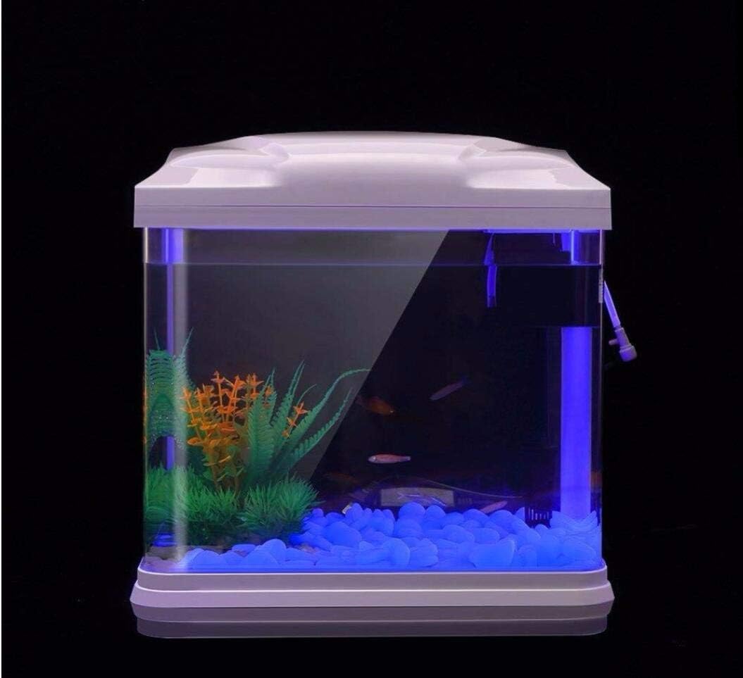ถังปลา Rocks Glow Blue Pebbles - Aquarium Fish Types บทวิจารณ์และราคา
