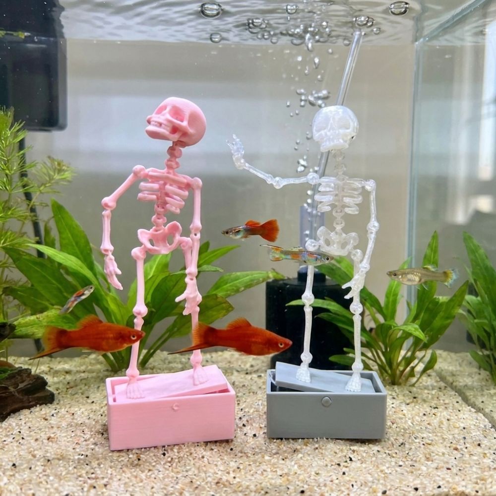 เครื่องเติมอากาศรูปโครงกระดูกเ - Aquarium Fish Diseases บทวิจารณ์และราคา