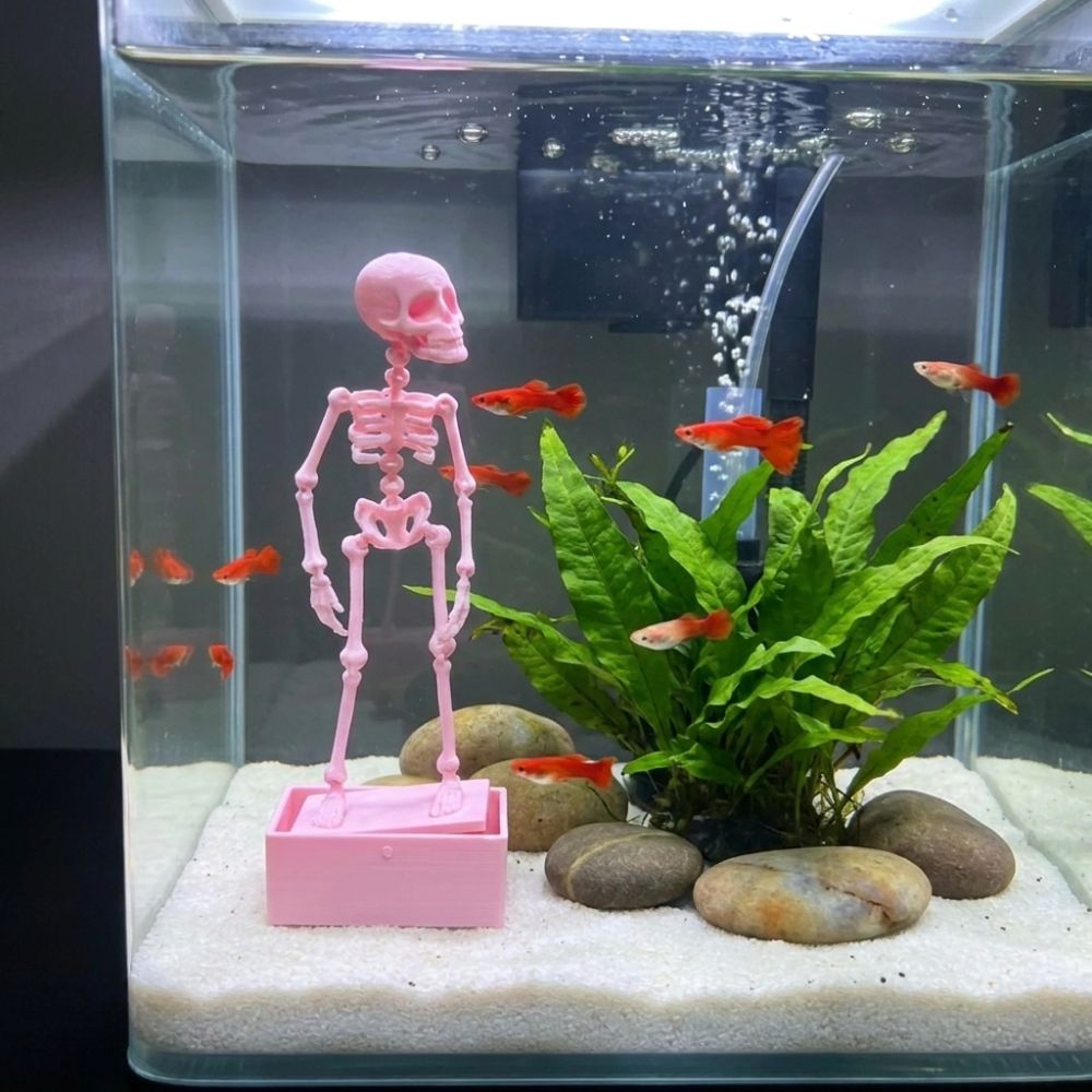 เครื่องเติมอากาศรูปโครงกระดูกเ - Aquarium Fish Diseases บทวิจารณ์และราคา