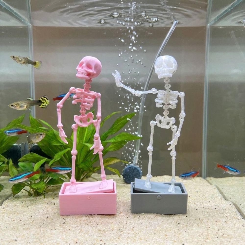 เครื่องเติมอากาศรูปโครงกระดูกเ - Aquarium Fish Diseases บทวิจารณ์และราคา