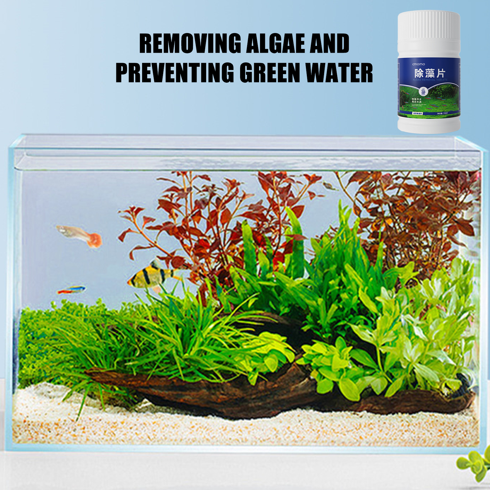 เม็ดทำความสะอาดตะไคร่น้ำในตู้ป - Aquarium Fish Maintenance บทวิจารณ์และราคา