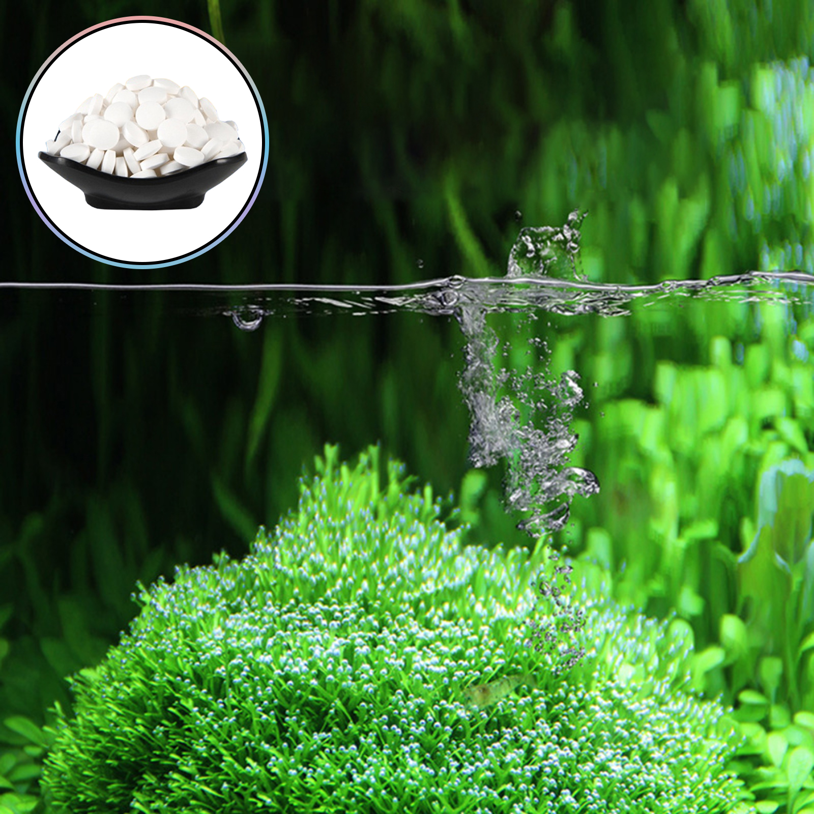 เม็ดทำความสะอาดตะไคร่น้ำในตู้ป - Aquarium Fish Maintenance บทวิจารณ์และราคา