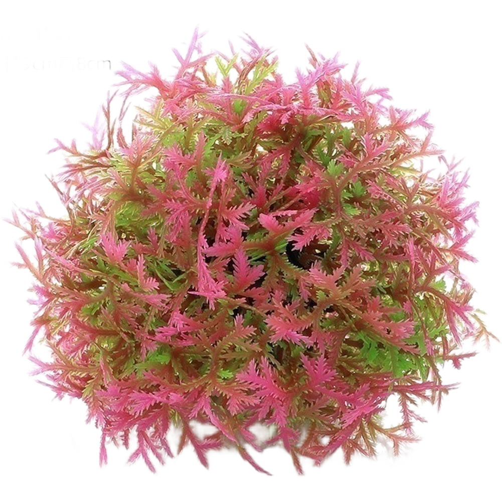 ของตกแต่งตู้ปลา PE ต้นไม้ประดิ - Aquarium Fish Ball บทวิจารณ์และราคา