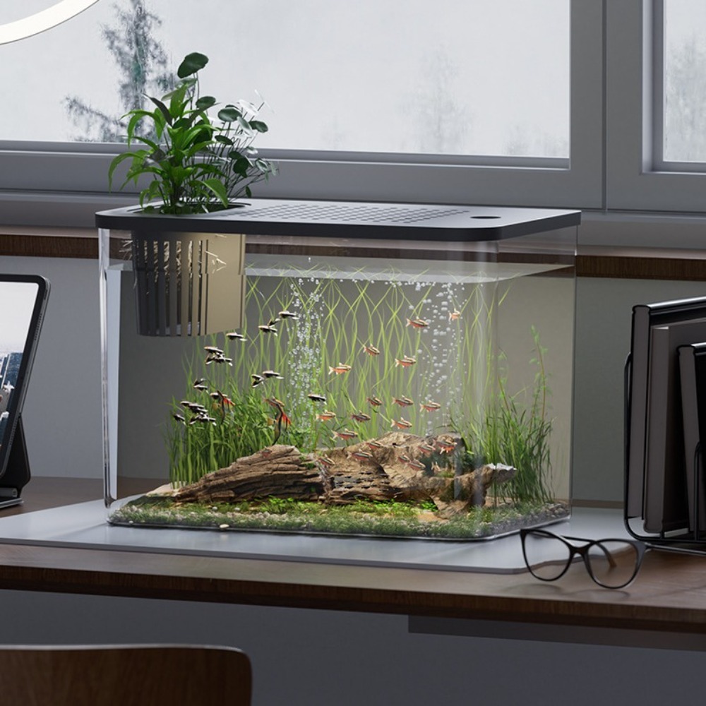 ถังเลี้ยงปลา + ABS ถังน้ำนิเวศ - Aquarium Fish For Sale บทวิจารณ์และราคา