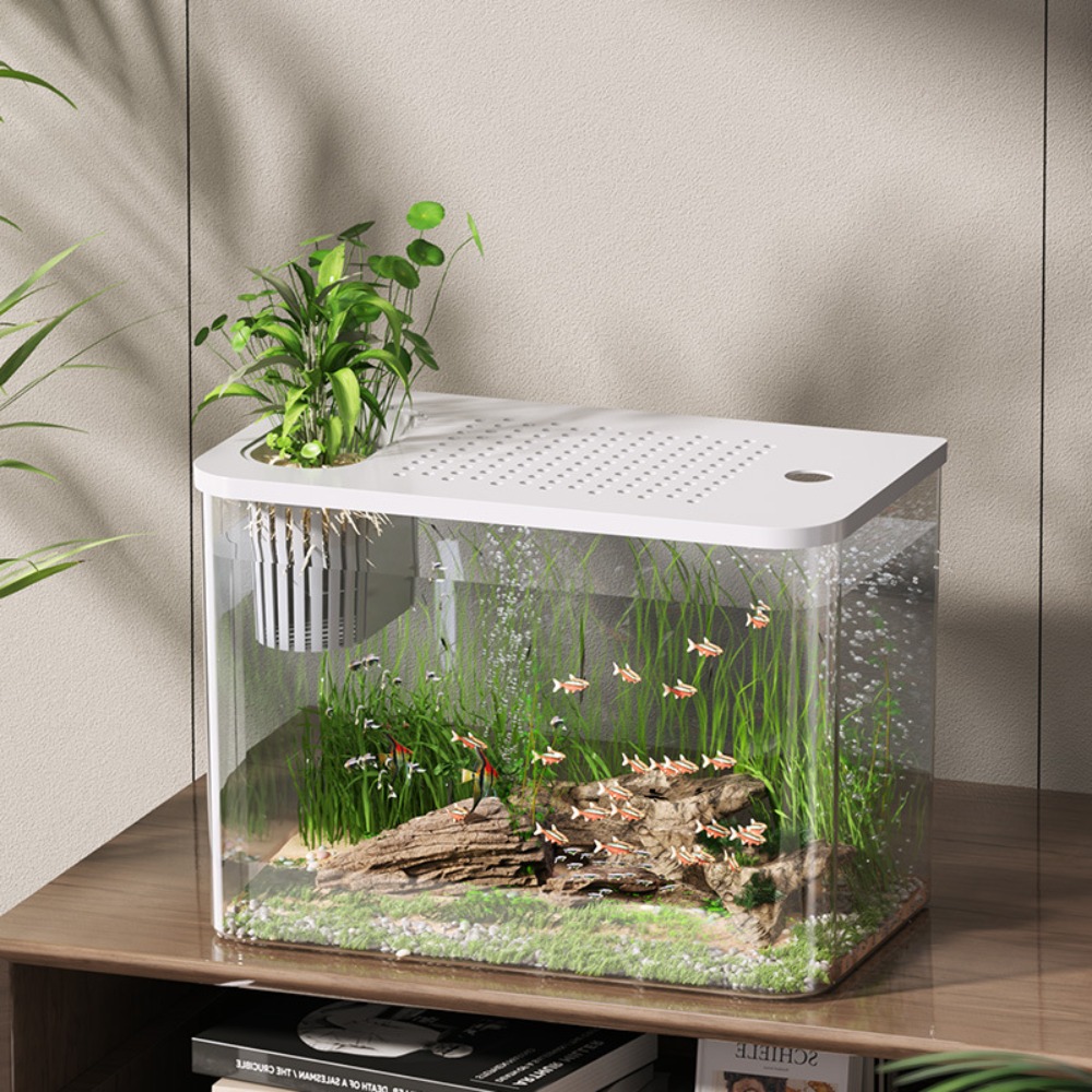 ถังเลี้ยงปลา + ABS ถังน้ำนิเวศ - Aquarium Fish For Sale บทวิจารณ์และราคา