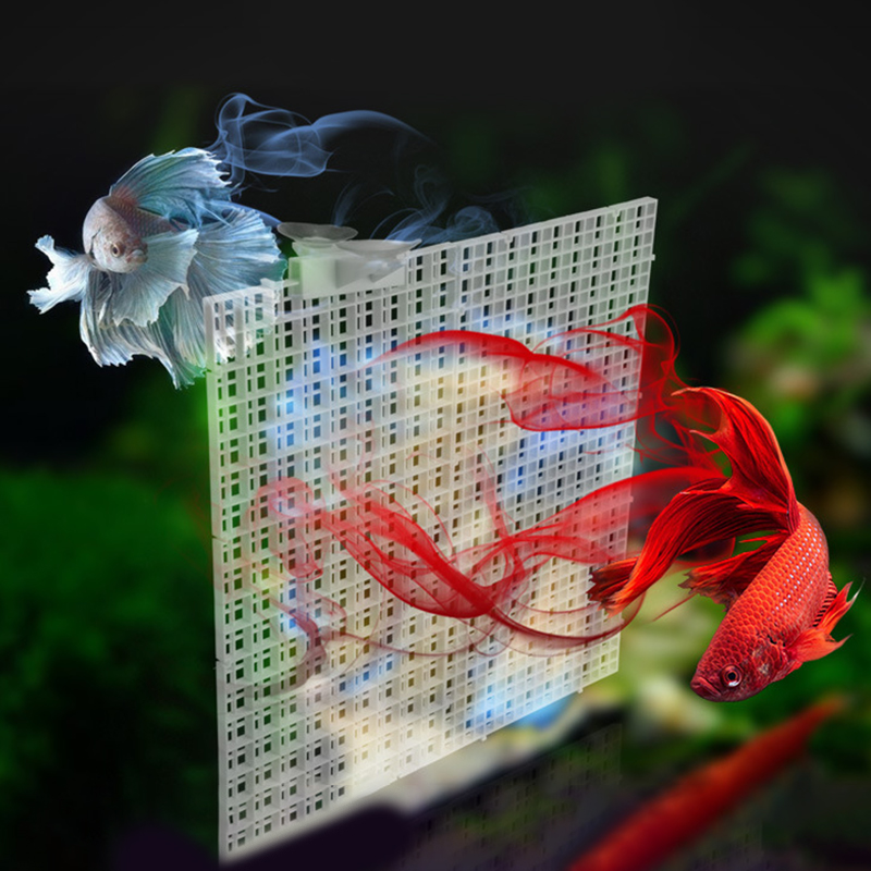 แผ่นกั้นตู้ปลาแบบถอดได้ ฝาครอบ - Tank Divider Mesh บทวิจารณ์และราคา